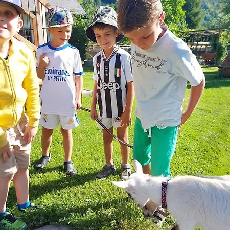 Sachserhof-Herz Zuhause, Seele Auftanken, Fuer Familien Und Paaren- Grosse Garten, Pool, Gratis Parken & Welan, Zentral Gelegen In Kaernten Zwischen Berge Und Seen Apartament *