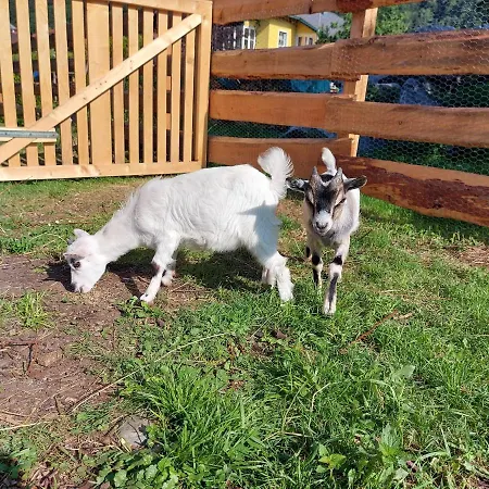 Sachserhof In * Sachsenburg