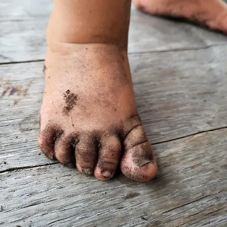 Διαμέρισμα Sachserhof In