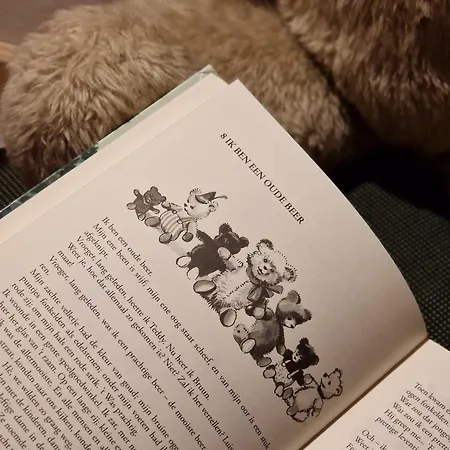 Sachserhof In Sachsenburg