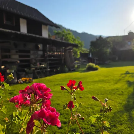 Sachserhof Fuer Familien Und Paaren In - Grosse Garten, Gratis Parken & Welan,nebenan Drauradweg Zum Radfahren Und Wandern Zentral Gelegen In Kaernten Zwischen Berge Und Seen *