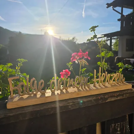 Apartment Sachserhof Fuer Familien Und Paaren In - Grosse Garten, Gratis Parken & Welan,nebenan Drauradweg Zum Radfahren Und Wandern Zentral Gelegen In Kaernten Zwischen Berge Und Seen *