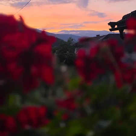 Sachserhof Fuer Familien Und Paaren In - Grosse Garten, Gratis Parken & Welan,nebenan Drauradweg Zum Radfahren Und Wandern Zentral Gelegen In Kaernten Zwischen Berge Und Seen * Sachsenburg