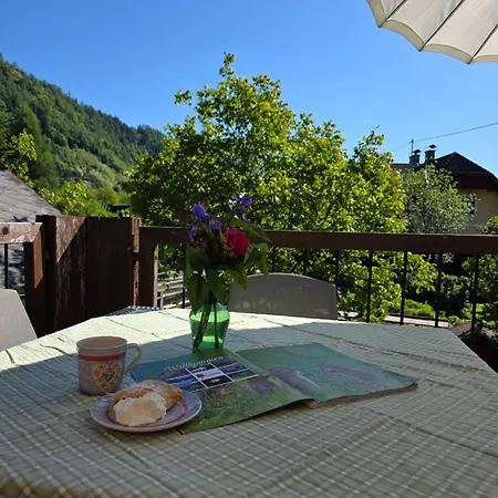 Sachserhof Fuer Familien Und Paaren In - Grosse Garten, Gratis Parken & Welan,nebenan Drauradweg Zum Radfahren Und Wandern Zentral Gelegen In Kaernten Zwischen Berge Und Seen