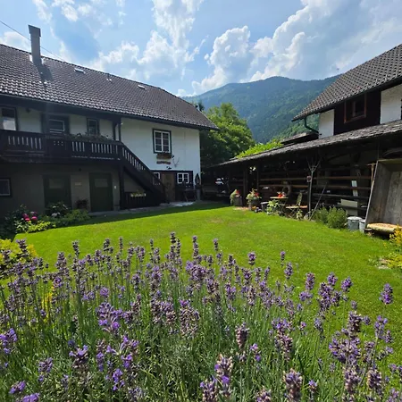 Sachserhof-Herz Zuhause, Seele Auftanken, Fuer Familien Und Paaren- Grosse Garten, Pool, Gratis Parken & Welan, Zentral Gelegen In Kaernten Zwischen Berge Und Seen Apartament